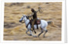 Cowboy riding the range by Anonymous