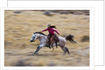 Cowgirl riding the range by Anonymous