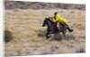 Cowboy riding the range by Anonymous