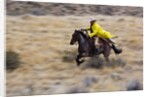 Cowboy riding the range by Anonymous