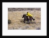 Cowboy riding the range by Anonymous