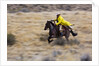 Cowboy riding the range by Anonymous