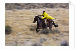 Cowboy riding the range by Anonymous