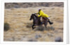 Cowboy riding the range by Anonymous