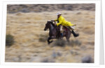 Cowboy riding the range by Anonymous