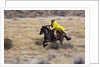 Cowboy riding the range by Anonymous