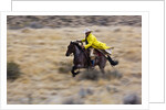 Cowboy riding the range by Anonymous