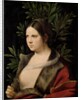 Young Woman (Laura) by Giorgione