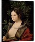 Young Woman (Laura) by Giorgione