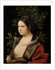 Young Woman (Laura) by Giorgione