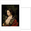 Young Woman (Laura) by Giorgione