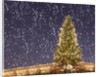 Christmas tree under snowfall by Anonymous