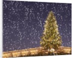 Christmas tree under snowfall by Anonymous