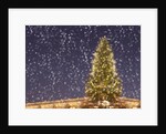 Christmas tree under snowfall by Anonymous