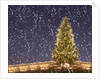 Christmas tree under snowfall by Anonymous