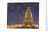 Christmas tree under snowfall by Anonymous