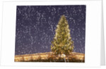 Christmas tree under snowfall by Anonymous