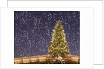 Christmas tree under snowfall by Anonymous