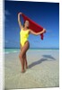 1990s Woman In Yellow Bathing Suit Holding Windblown Red Cloth Mopion Island, Grenadines, West Indies by Anonymous