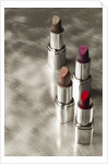4 Lipsticks Different Colors by Anonymous