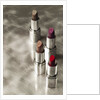 4 Lipsticks Different Colors by Anonymous