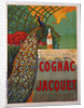 Cognac Jacquet by Camille Bouchet