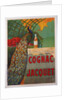 Cognac Jacquet by Camille Bouchet