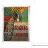Cognac Jacquet by Camille Bouchet