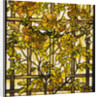 Tiffany Studios trumpet vine leaded glass window by Anonymous