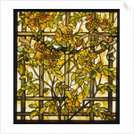 Tiffany Studios trumpet vine leaded glass window by Anonymous