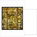 Tiffany Studios trumpet vine leaded glass window by Anonymous