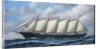 The Schooner Diria by Antonio Jacobsen