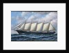 The Schooner Diria by Antonio Jacobsen