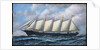 The Schooner Diria by Antonio Jacobsen