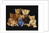 A selection of Teddy Bears by Anonymous