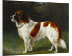 A St. Bernard on the Edge of a Wood by Heinrich Sperling
