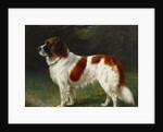 A St. Bernard on the Edge of a Wood by Heinrich Sperling