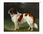 A St. Bernard on the Edge of a Wood by Heinrich Sperling
