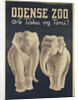Odense Zoo poster by Anonymous
