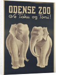 Odense Zoo poster by Anonymous