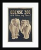 Odense Zoo poster by Anonymous