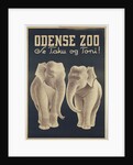 Odense Zoo poster by Anonymous