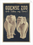 Odense Zoo poster by Anonymous