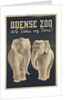 Odense Zoo poster by Anonymous