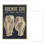 Odense Zoo poster by Anonymous