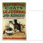 Exposition de Chats poster by Alfred Roedel