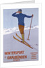 Wintersport in Graubunden poster by Walter Koch