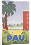 Pau poster by Riblo