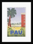 Pau poster by Riblo