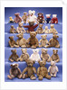 A collection of Steiff bears by Anonymous